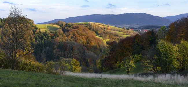 Małopolska – Beskid Wyspowy (autor: Jerzy Górecki)